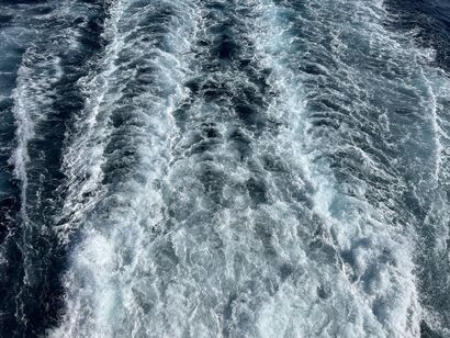 Future Harbouring  - a Performance Artowrk by Dijana  Engelmann
